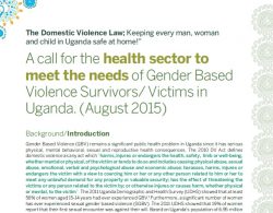 A Call for the Health Sector to Meet the needs of GBV Survivors (2015)