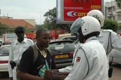 16days_2012_36_20131118_1348131534