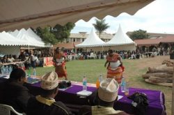 16days_2012_66_20131118_2001317893