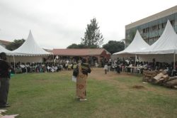 16days_2012_69_20131118_1616839363