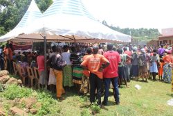 kween_launching_22_20190711_1963908907