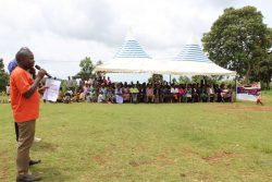 kween_moyok_81_20190711_1361286310