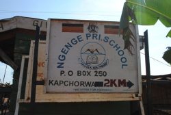 kween_ngenge_34_20190711_1176316735