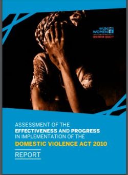 Domestic Violece Act Impplementation Assessment Report