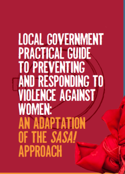 Local Government VAW prevention guide