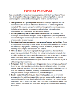 Feminist Principles