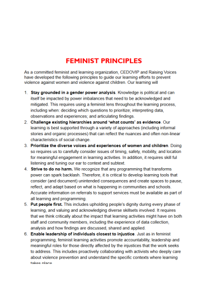 Feminist Principles